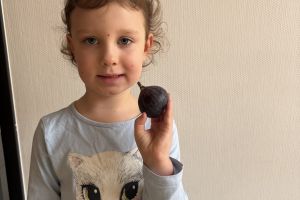 Dzień Owoców i Warzyw