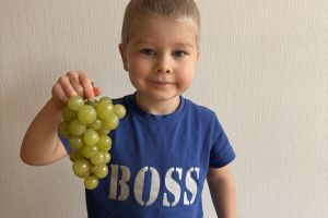 Dzień Owoców i Warzyw