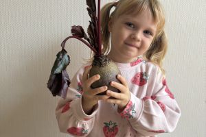 Dzień Owoców i Warzyw