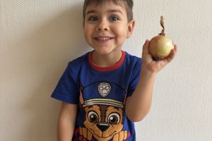 Dzień Owoców i Warzyw