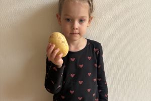 Dzień Owoców i Warzyw