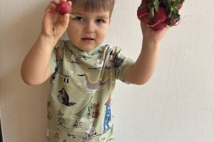 Dzień Owoców i Warzyw