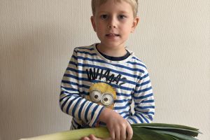 Dzień Owoców i Warzyw