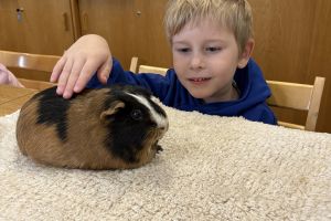 Wycieczka do Ogrodu Zoobotanicznego w Toruniu