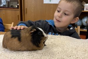 Wycieczka do Ogrodu Zoobotanicznego w Toruniu