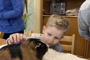 Wycieczka do Ogrodu Zoobotanicznego w Toruniu