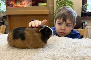 Wycieczka do Ogrodu Zoobotanicznego w Toruniu