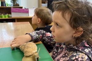 Wycieczka do Ogrodu Zoobotanicznego w Toruniu