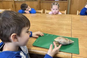 Wycieczka do Ogrodu Zoobotanicznego w Toruniu