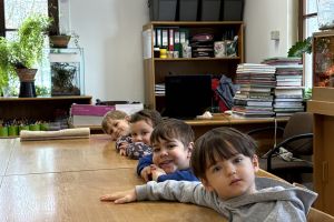 Wycieczka do Ogrodu Zoobotanicznego w Toruniu