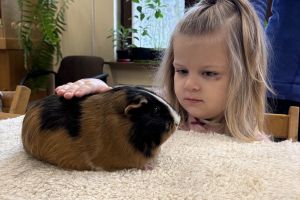 Wycieczka do Ogrodu Zoobotanicznego w Toruniu