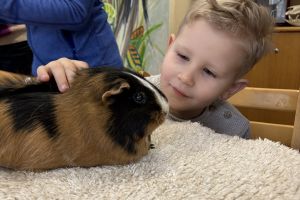 Wycieczka do Ogrodu Zoobotanicznego w Toruniu