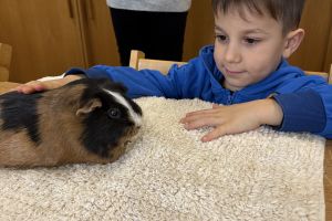 Wycieczka do Ogrodu Zoobotanicznego w Toruniu