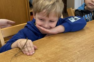 Wycieczka do Ogrodu Zoobotanicznego w Toruniu