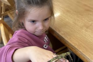 Wycieczka do Ogrodu Zoobotanicznego w Toruniu