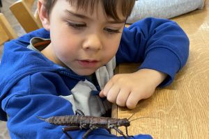 Wycieczka do Ogrodu Zoobotanicznego w Toruniu