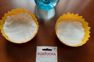 Rzeżucha