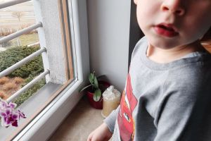 Rzeżucha Kuby