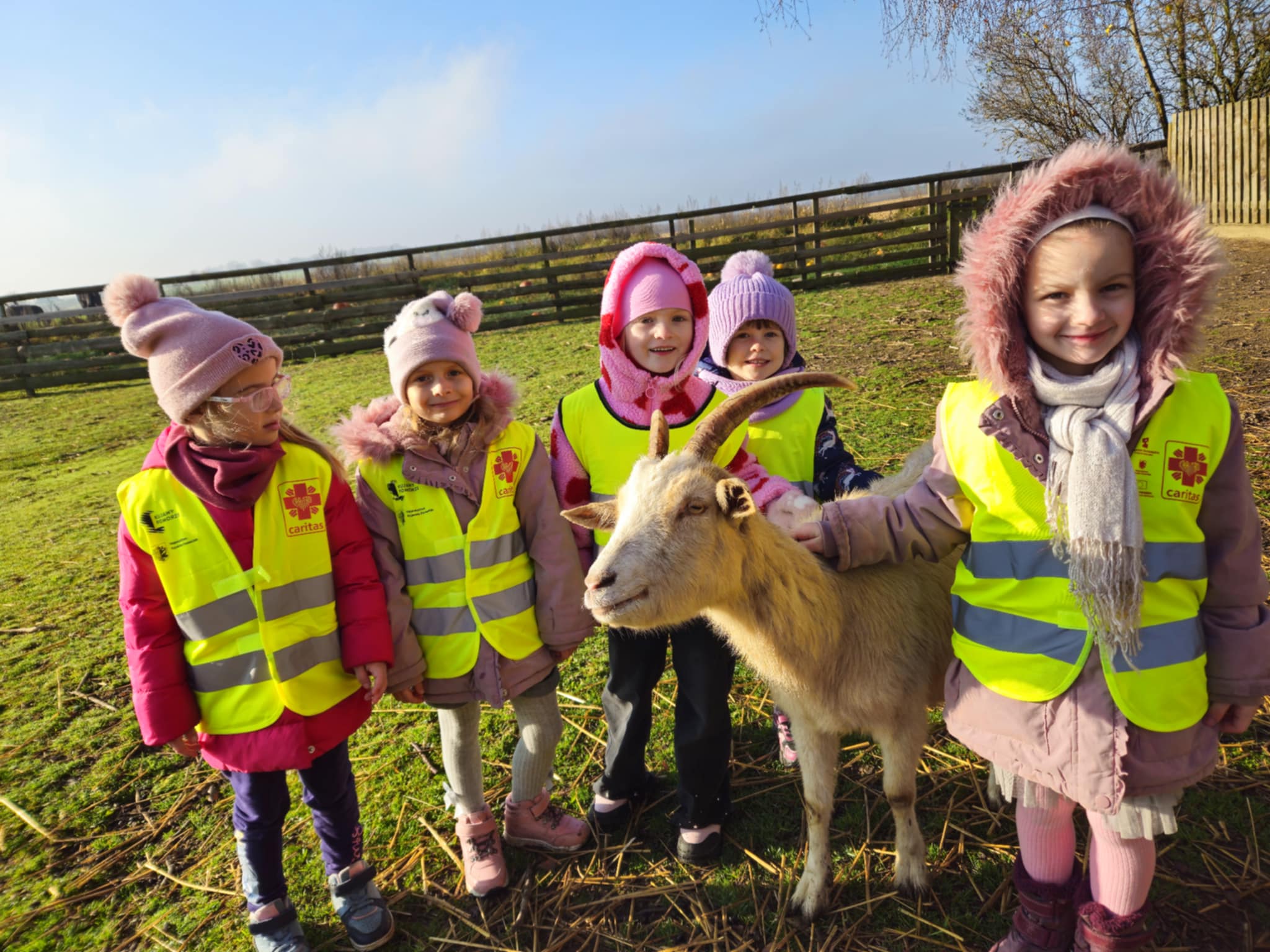 Kreci i Zajączki w Babaludzie