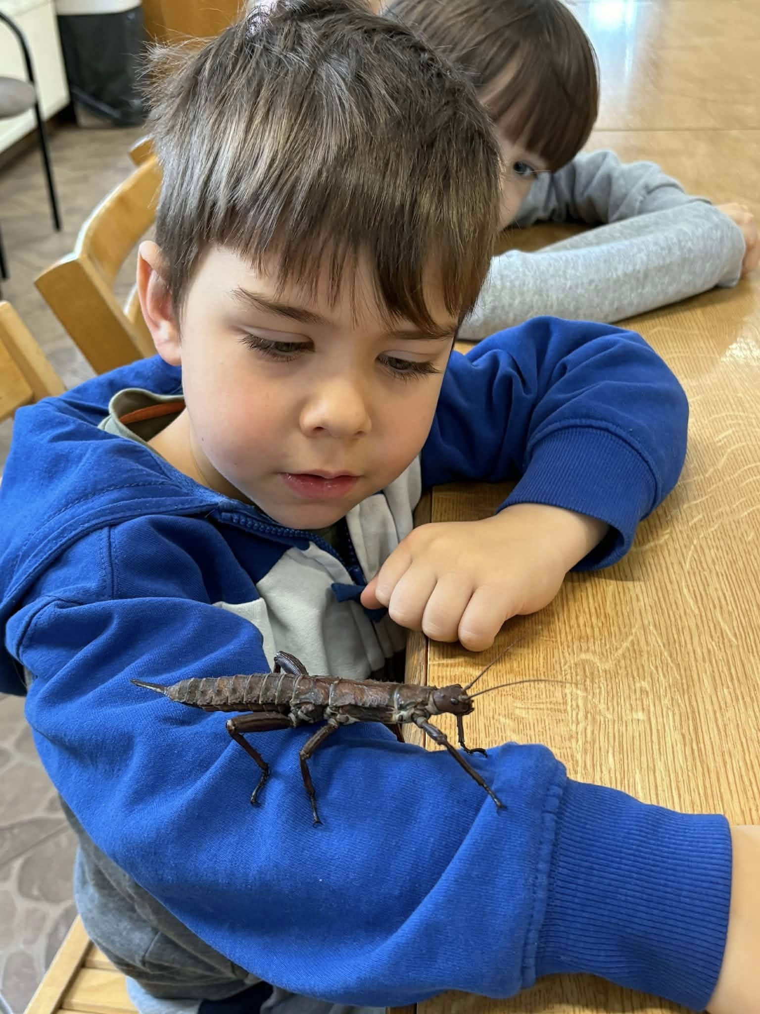 Wiewiórki w ogrodzie zoobotanicznym