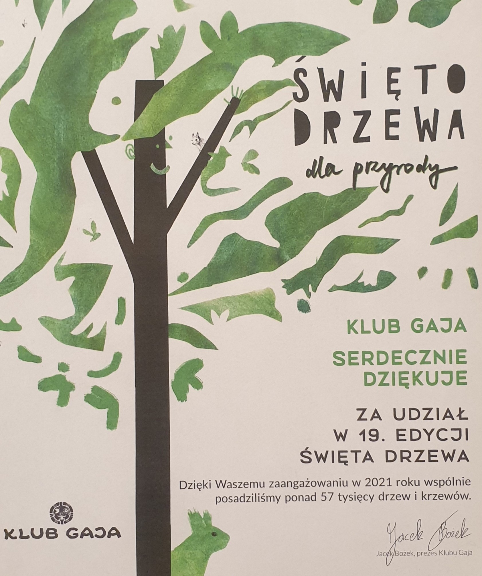 Podziękowanie za udział w 19. edycji Święta Drzewa