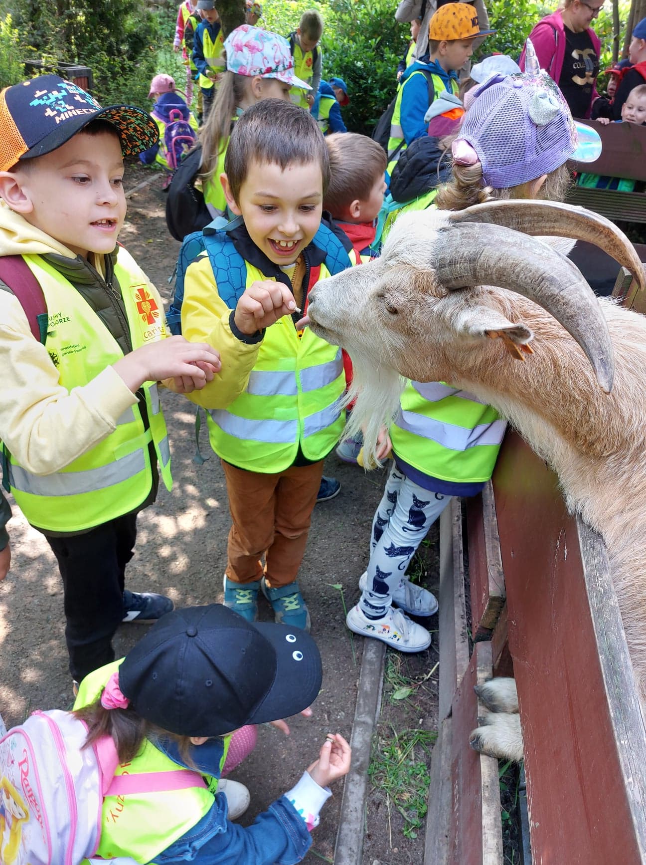 Wizyta w Ogrodzie Zoobotanicznym w Toruniu