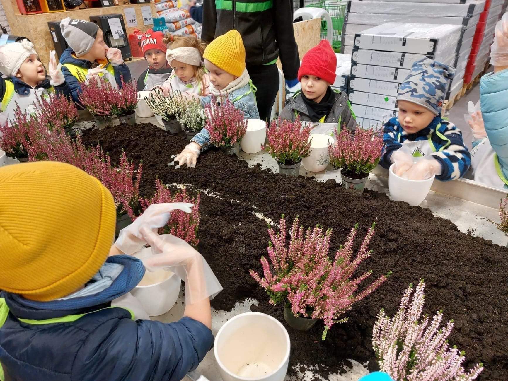 Szkółka sadzenia roślin "Dzieciaki sadzeniaki"