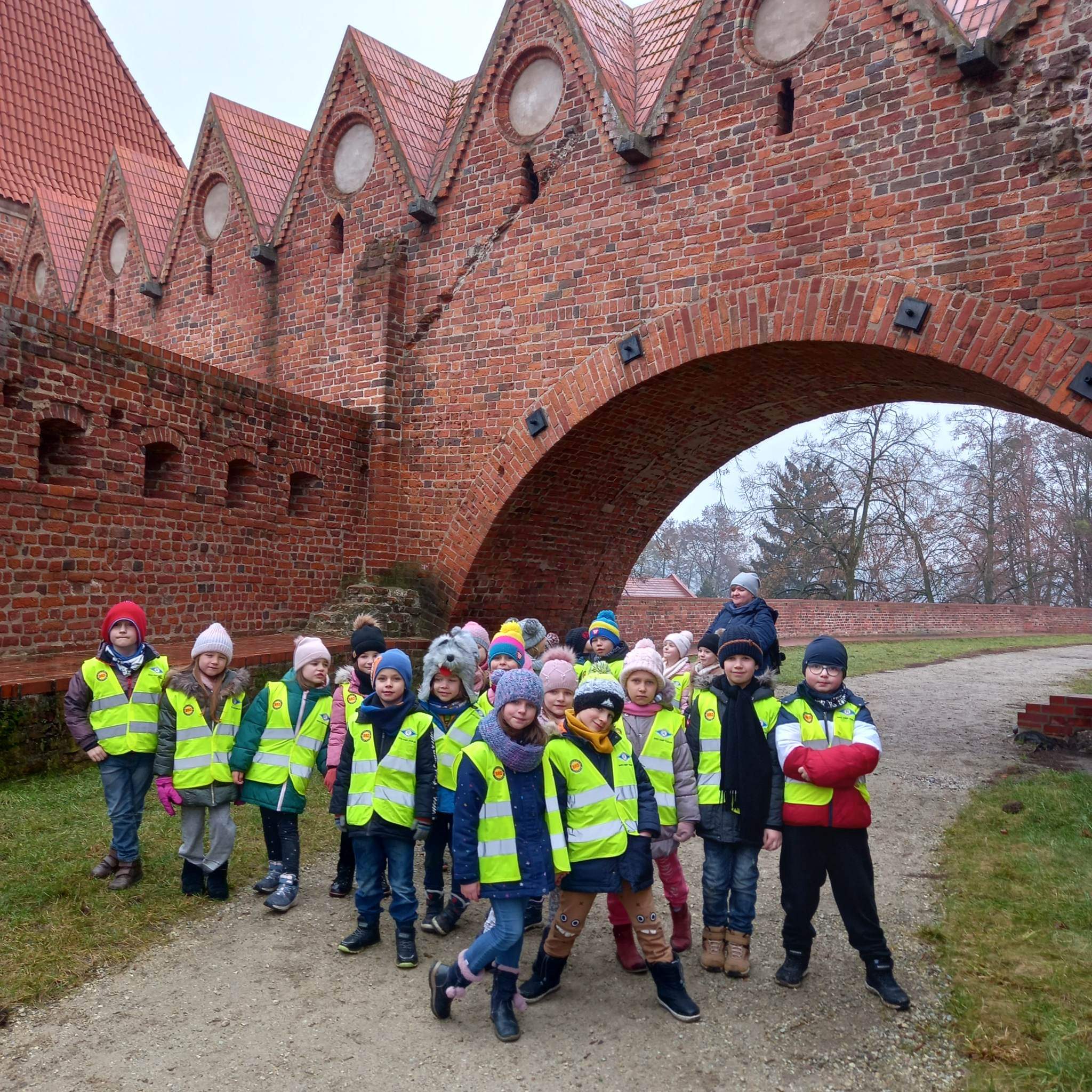 Sówki na ruinach Zamku Krzyżackiego i w planetarium