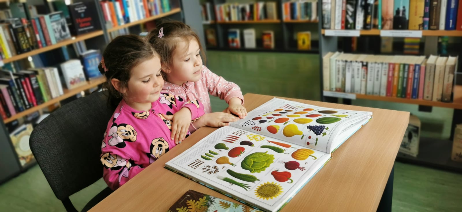 Żabki w Bibliotece Pedagogicznej