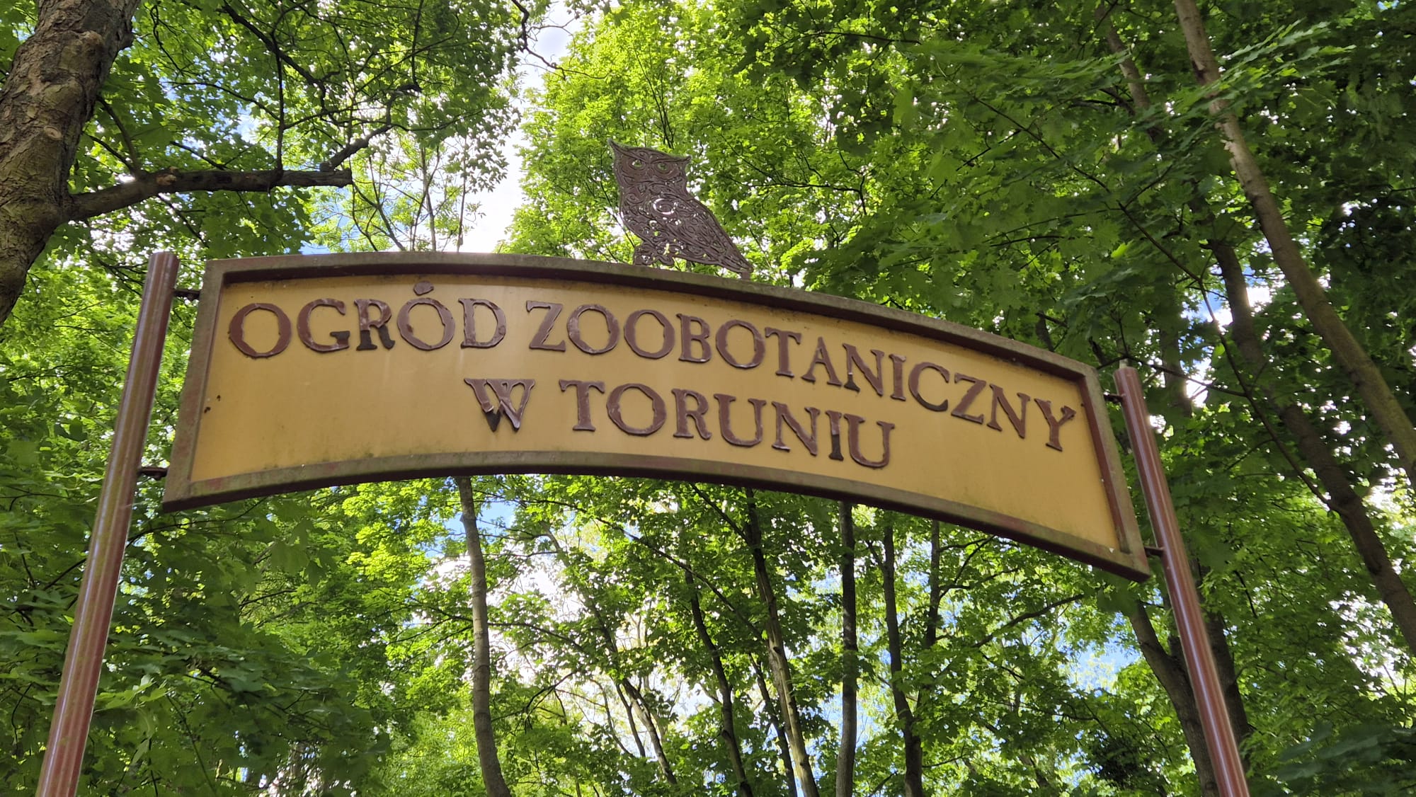 Żuczki w Ogrodzie Zoobotanicznym