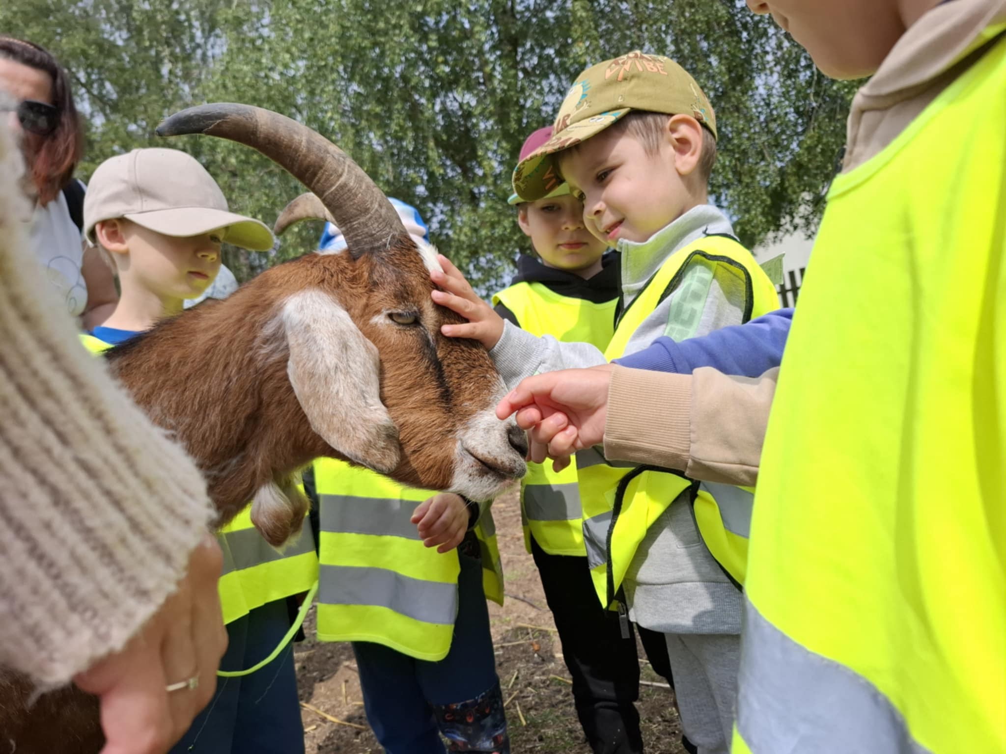 Motylki i Żabki w Babaludzie